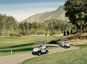  非公路用電動車輛